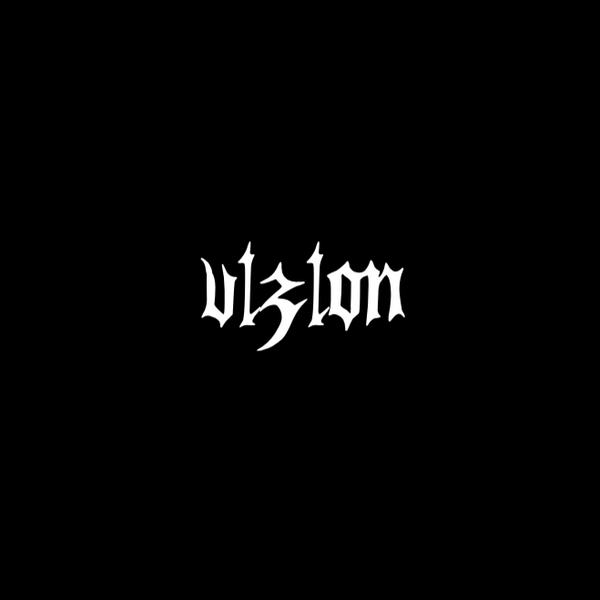 Vizion
